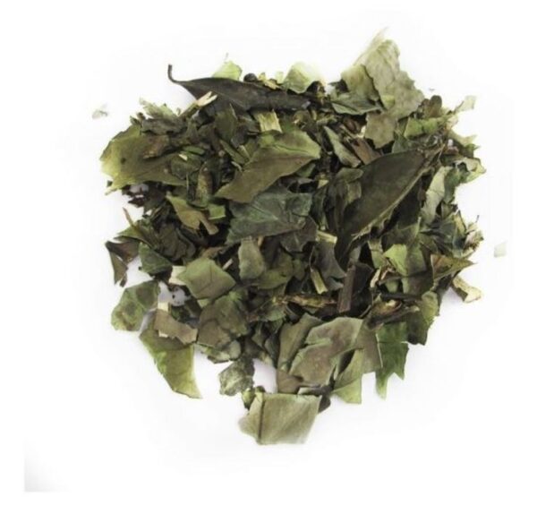 CHÁ VERDE